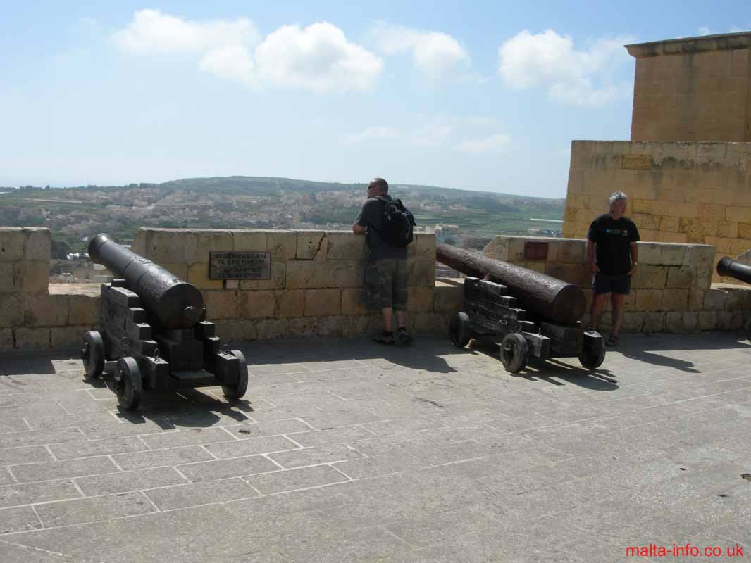 Cannon on St.Matins Demi-Bastion